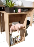 Hochbett mit Schreibtisch Sam 1 eiche-schwarz